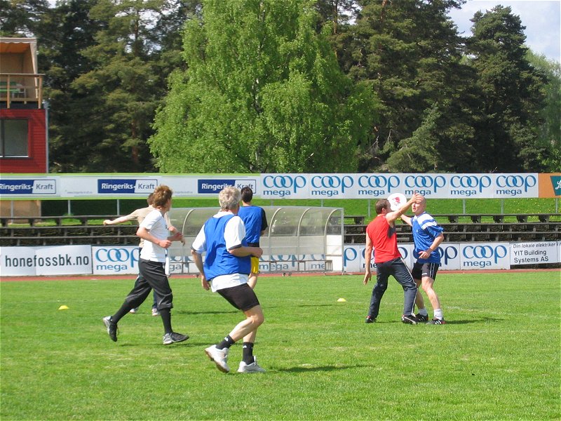 Hønestov - Freefoss